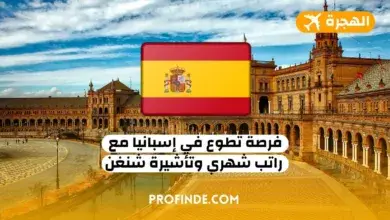 فرصة تطوع في إسبانيا