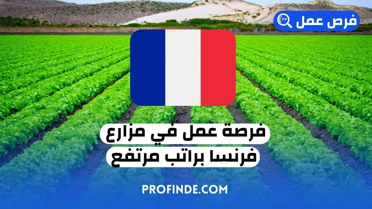 فرصة عمل في فرنسا
