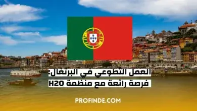 العمل التطوعي في البرتغال