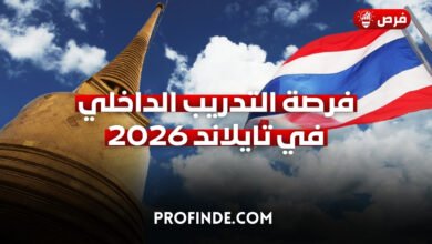 التدريب الداخلي